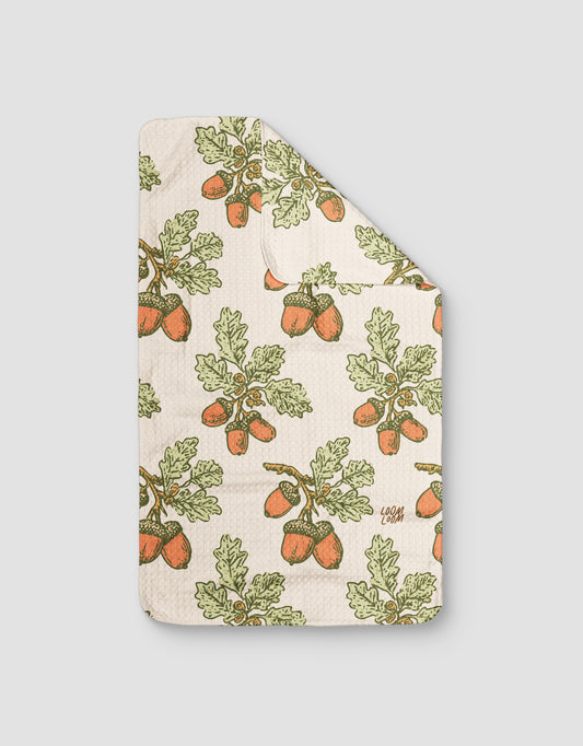 Acorns