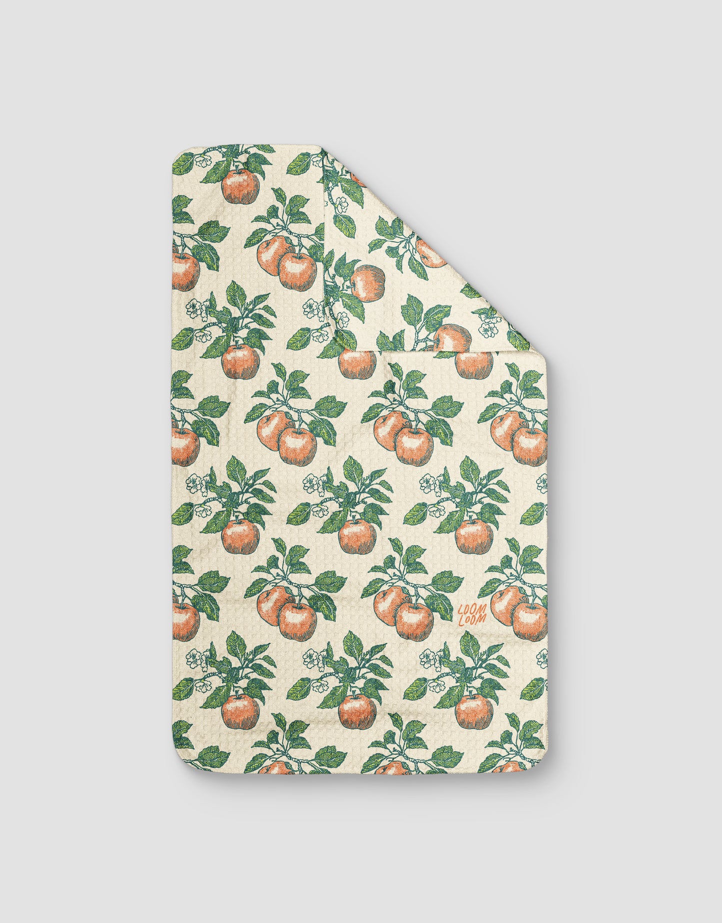 Apple Blooms