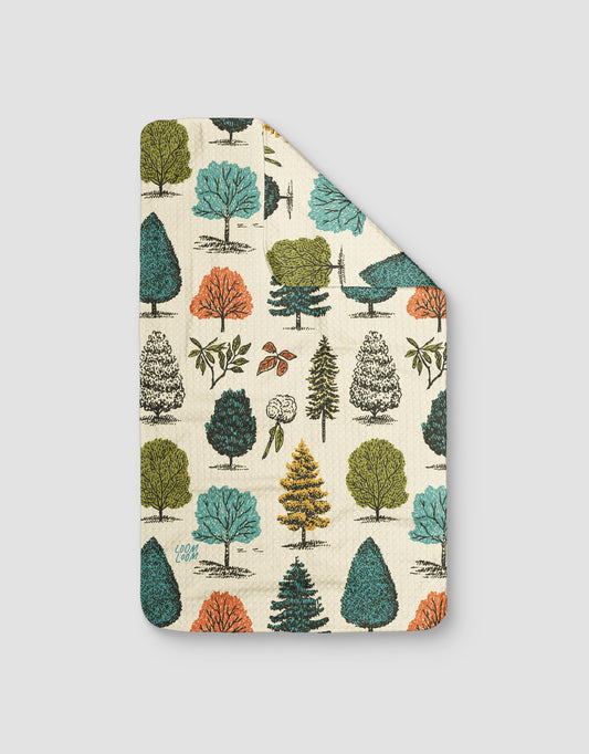 Autumn Trees