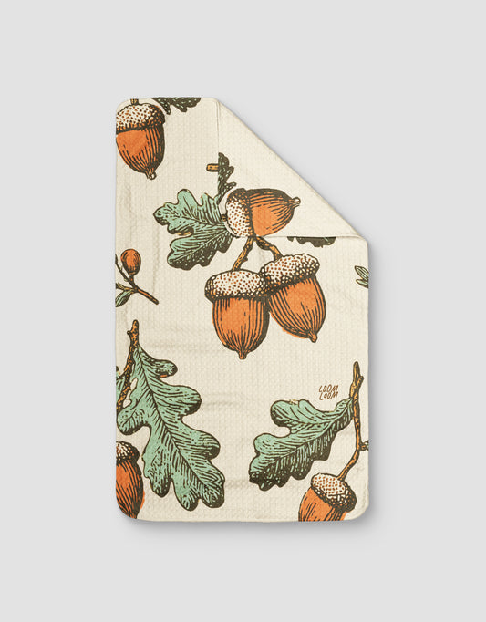Big Acorns