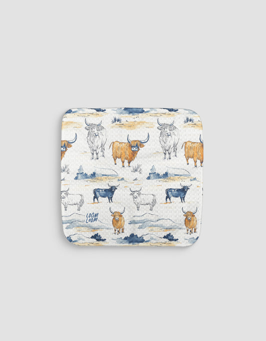 Bulls 2 Dishcloth