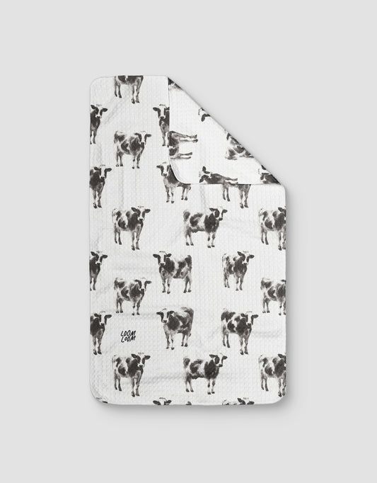 Cows