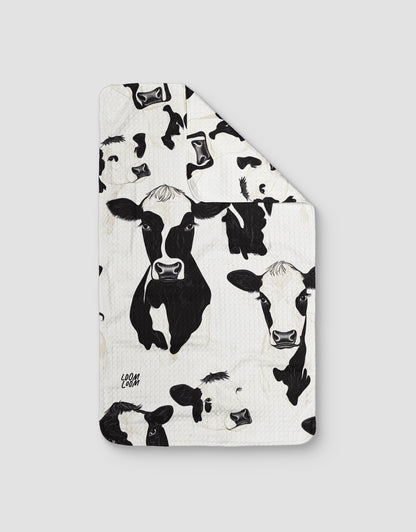 Moo