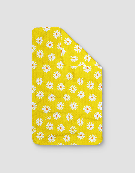 Daisy Texture