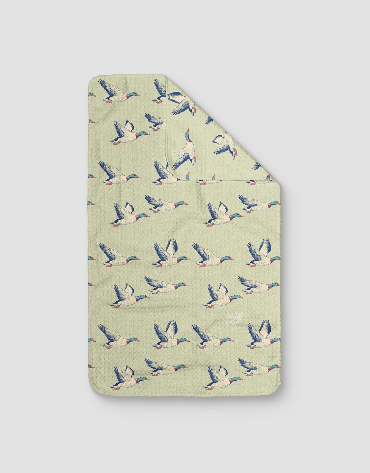 Flying Ducks